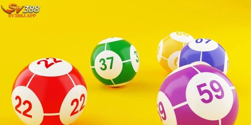 Nuôi Lô Đề Có Hiệu Quả