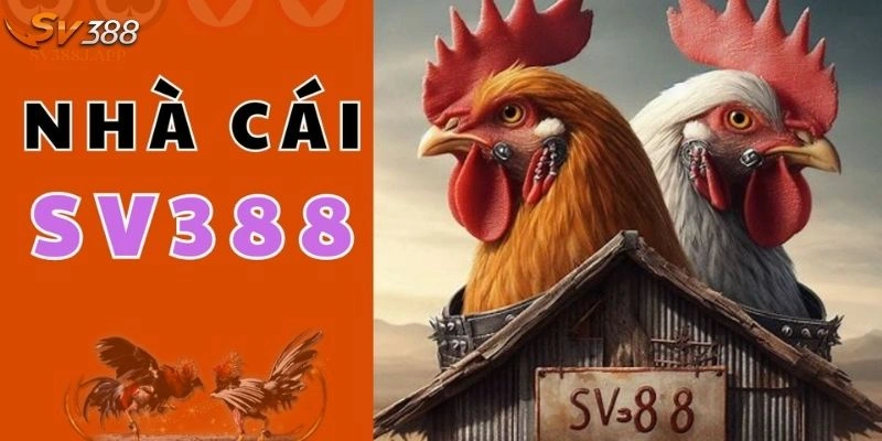 Trực Tiếp Đá Gà C1